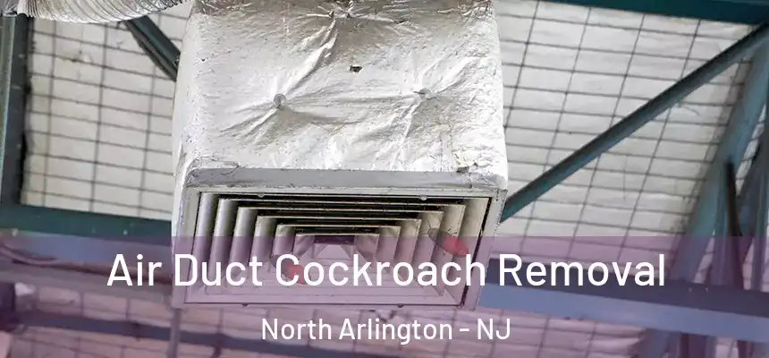  Air Duct Cockroach Removal North Arlington - NJ