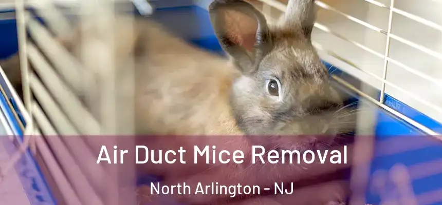  Air Duct Mice Removal North Arlington - NJ