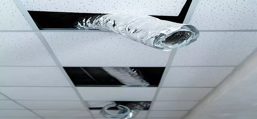 Affordable HVAC Sanitizing After Pest Removal in North Arlington