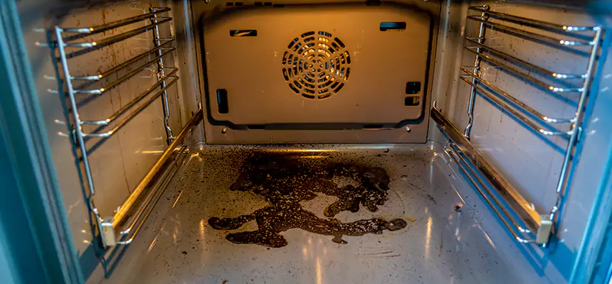 Our Dryer Vent Mold Cleaning Services in North Arlington, NJ