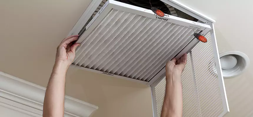 Our Insect Removal from Air Ducts Services in North Arlington, NJ