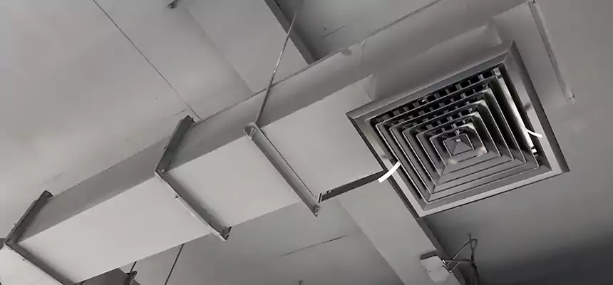 Our Rodent Droppings In Vents Services in North Arlington, NJ