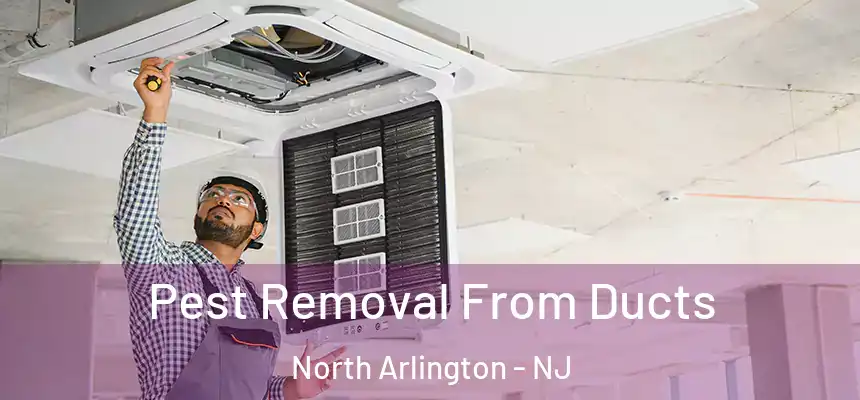  Pest Removal From Ducts North Arlington - NJ