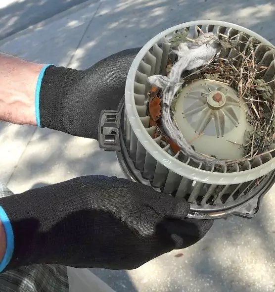 About Air Duct Rat Removal in North Arlington, NJ