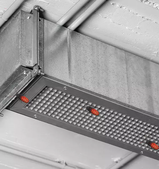 Affordable Insect Removal from Air Ducts in North Arlington, NJ